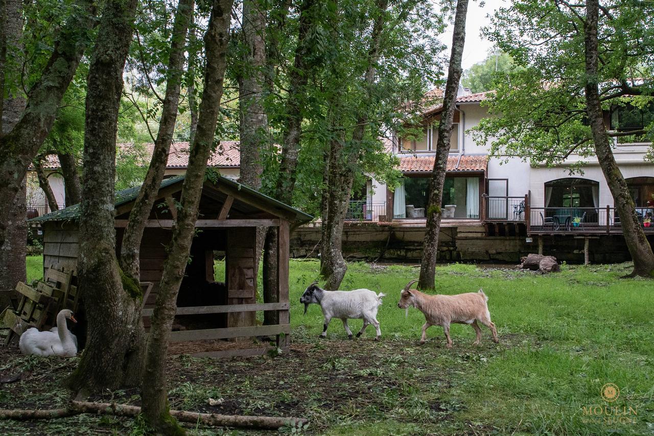 Hotel Moulin Du Val De Seugne Mosnac  Zewnętrze zdjęcie